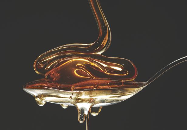 The Sweet Science of Preservation: Honey as Nature's Food Guardian!